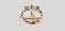 Avatar von Skip_Turtle